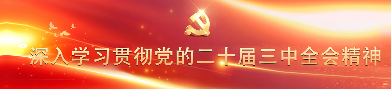 ͼƬ3